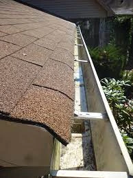 Gutter Cleaning and Pressure Washing